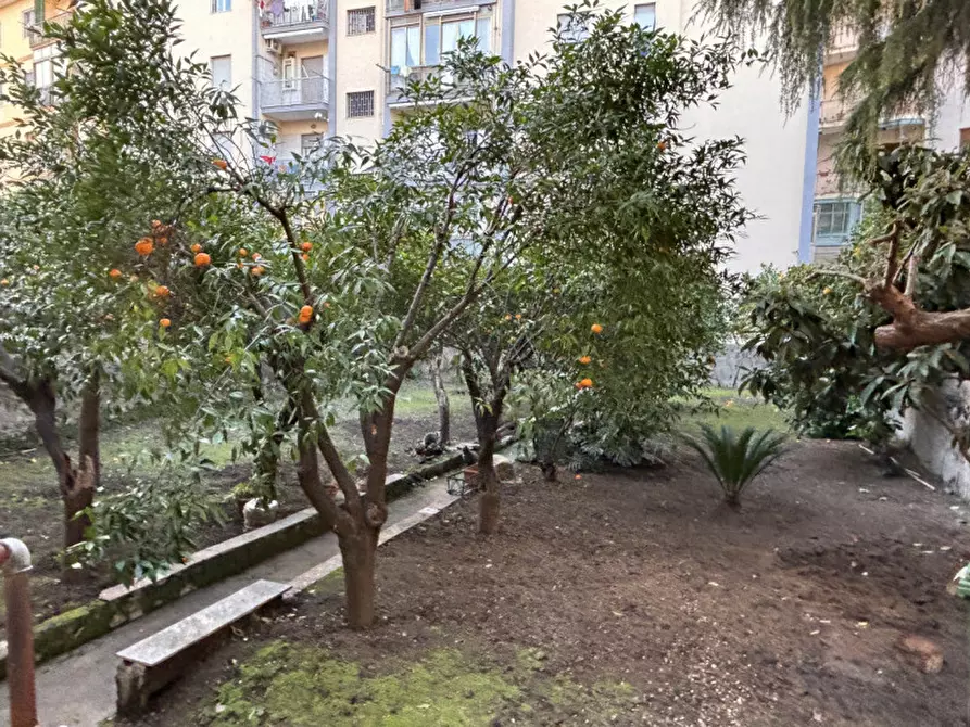 Immagine 2 di Appartamento in vendita  in Via Guglielmo Marconi a Torre Del Greco