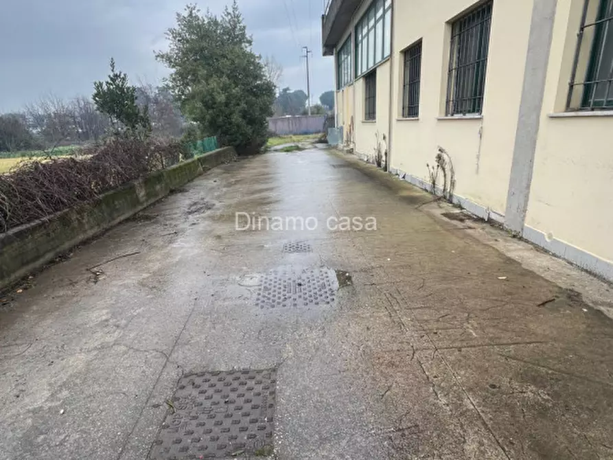 Immagine 15 di Magazzino in affitto  a Prato