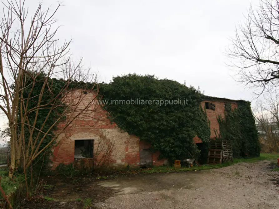 Immagine 1 di Magazzino in vendita  a Sinalunga