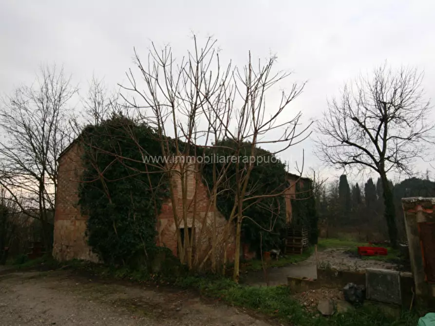 Immagine 2 di Magazzino in vendita  a Sinalunga