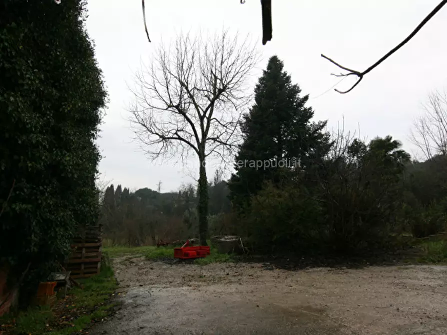 Immagine 6 di Magazzino in vendita  a Sinalunga