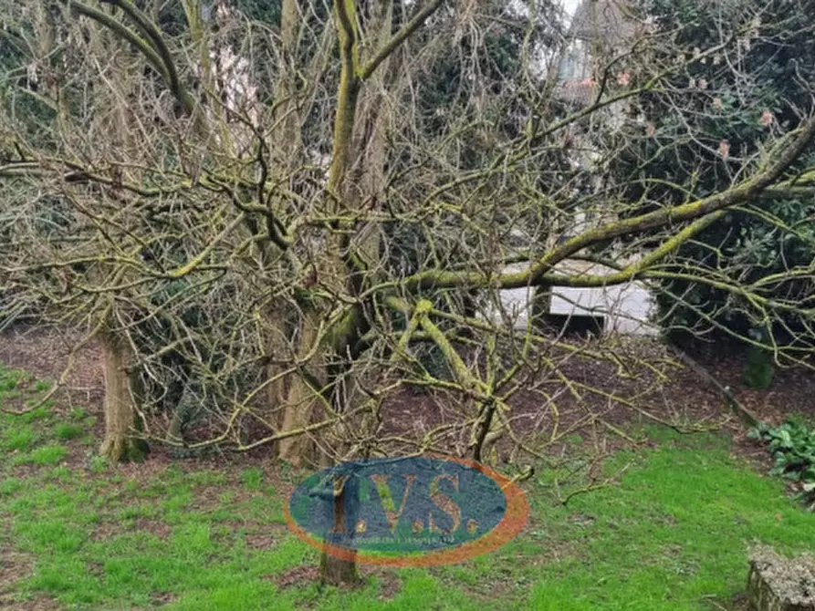 Immagine 2 di Appartamento in vendita  in Via Roma n. 56 a Veggiano
