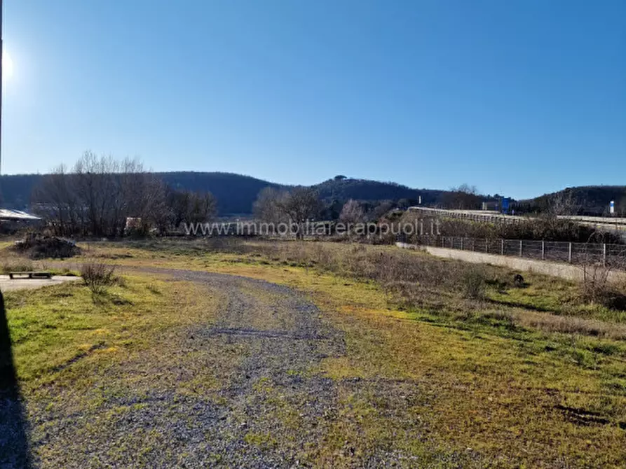 Immagine 1 di Terreno in vendita  a Rapolano Terme