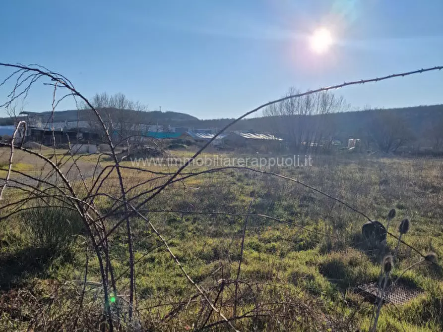 Immagine 2 di Terreno in vendita  a Rapolano Terme