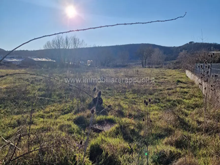 Immagine 3 di Terreno in vendita  a Rapolano Terme