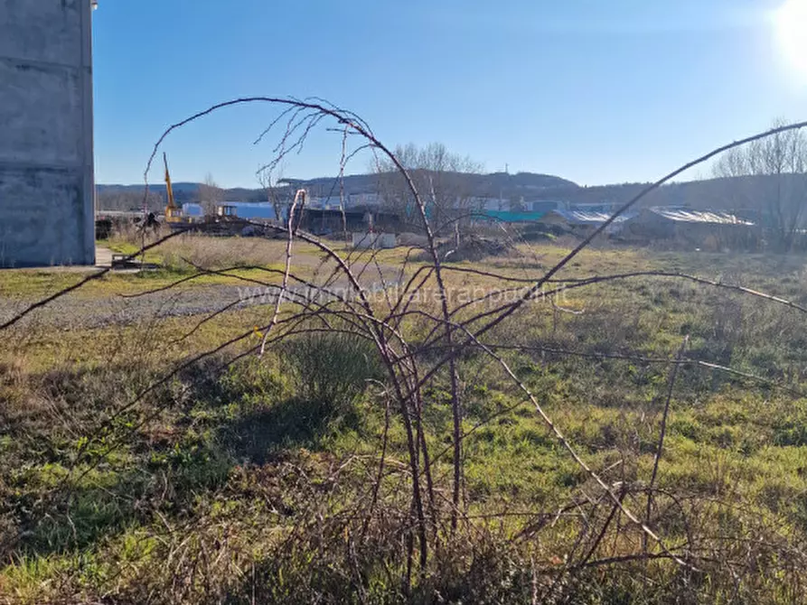 Immagine 4 di Terreno in vendita  a Rapolano Terme