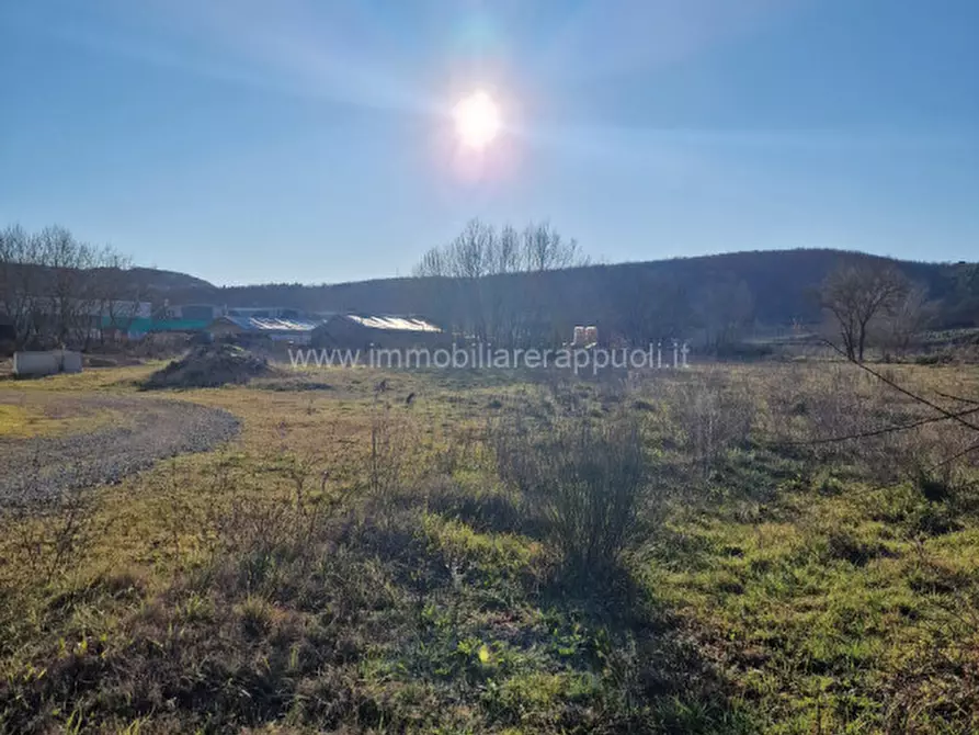 Immagine 5 di Terreno in vendita  a Rapolano Terme