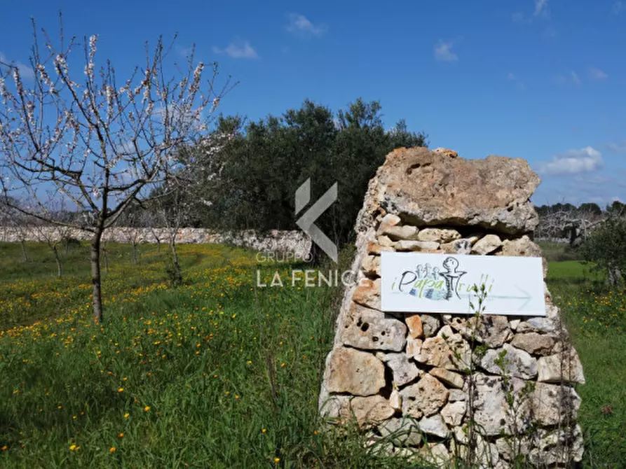 Immagine 48 di Rustico / casale in vendita  in Strada Cupina 27 a Martina Franca