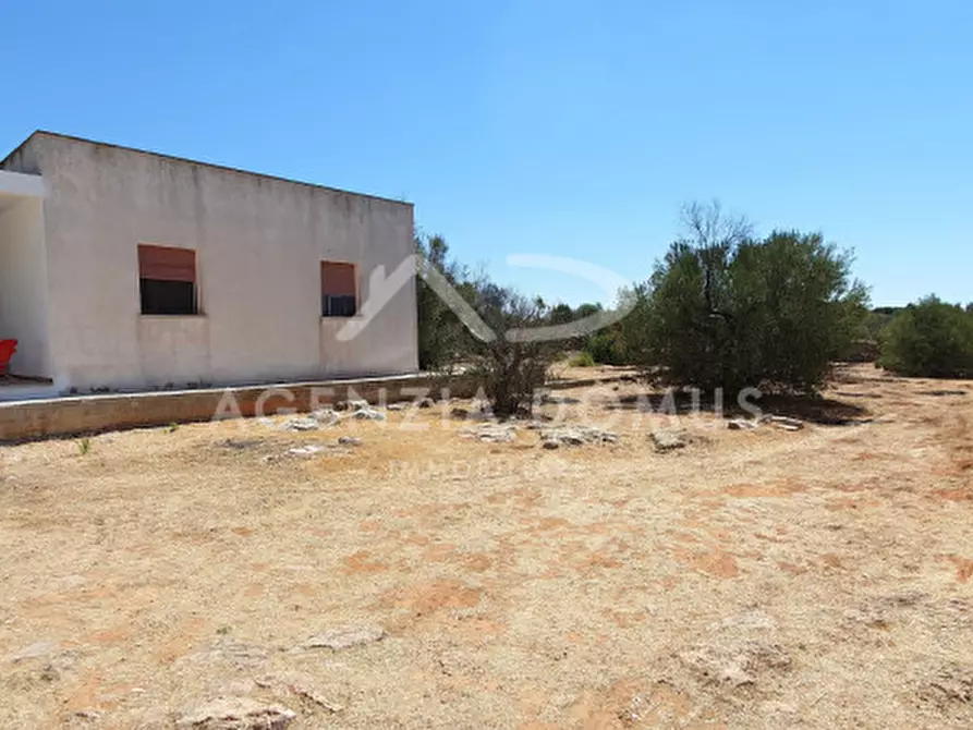 Immagine 4 di Casa indipendente in vendita  a Alliste