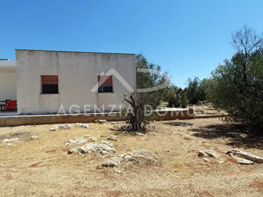 Immagine 6 di Casa indipendente in vendita  a Alliste