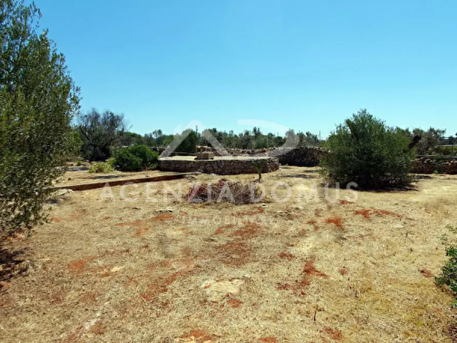 Immagine 8 di Casa indipendente in vendita  a Alliste