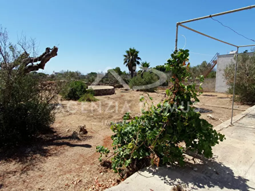 Immagine 10 di Casa indipendente in vendita  a Alliste