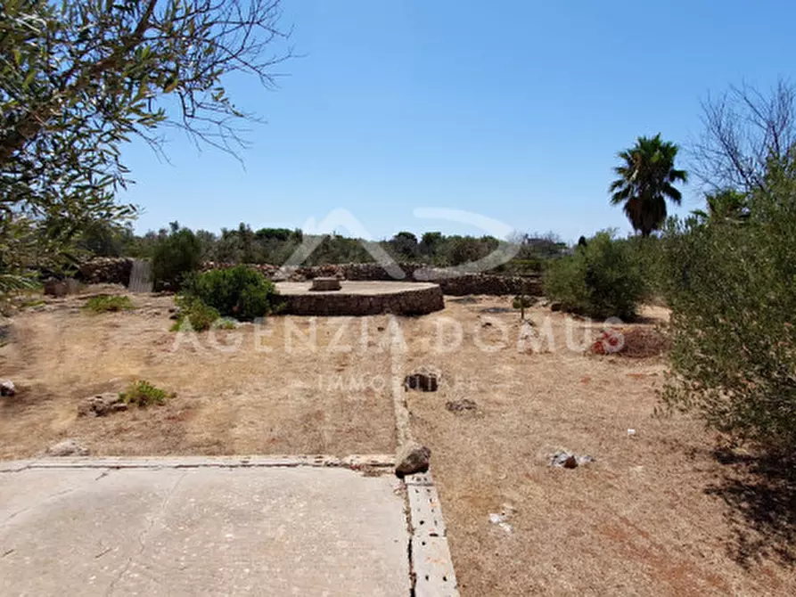 Immagine 11 di Casa indipendente in vendita  a Alliste