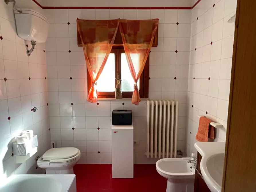 Immagine 33 di Casa indipendente in vendita  in Via Verdi a Neviano