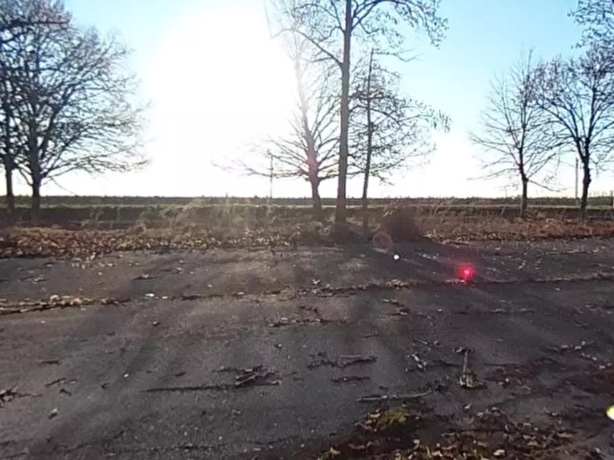 Immagine 3 di Capannone industriale in vendita  in Strada Statale Romea, 108 a Mira