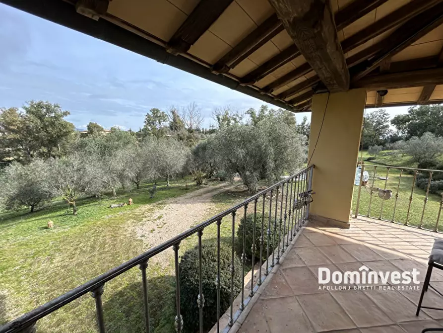 Immagine 6 di Rustico / casale in vendita  in Strada dell'Abbadia a Capalbio