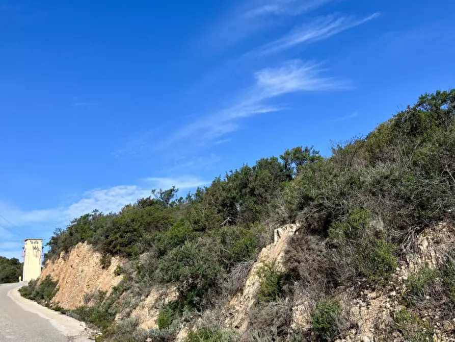 Immagine 3 di Terreno in vendita  in via stazzo caddaghiu a Olbia