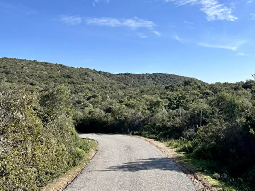 Immagine 5 di Terreno in vendita  in via stazzo caddaghiu a Olbia