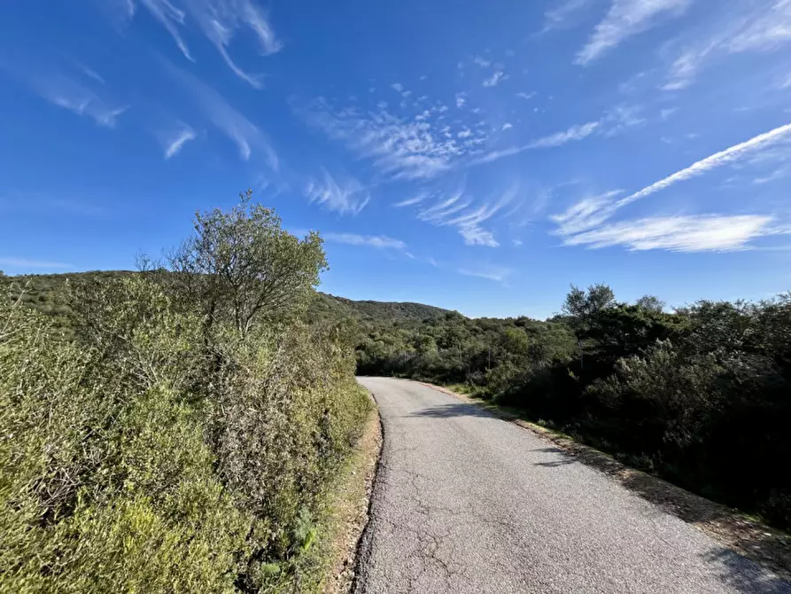 Immagine 6 di Terreno in vendita  in via stazzo caddaghiu a Olbia