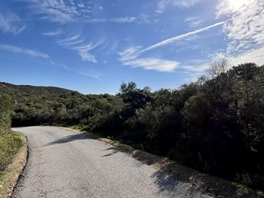 Immagine 7 di Terreno in vendita  in via stazzo caddaghiu a Olbia