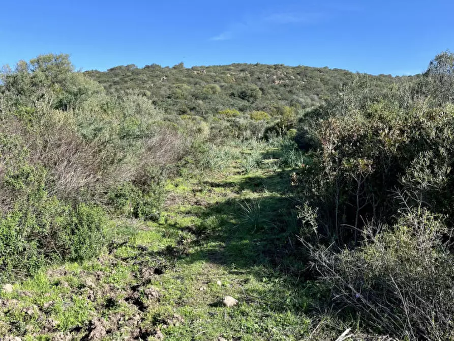 Immagine 8 di Terreno in vendita  in via stazzo caddaghiu a Olbia