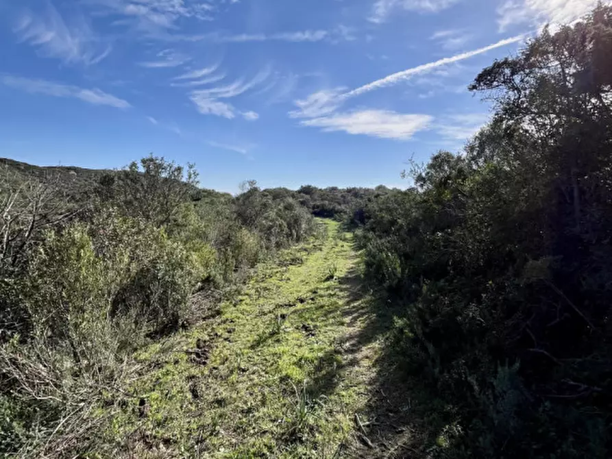 Immagine 9 di Terreno in vendita  in via stazzo caddaghiu a Olbia