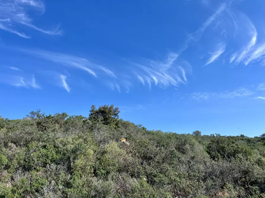 Immagine 10 di Terreno in vendita  in via stazzo caddaghiu a Olbia