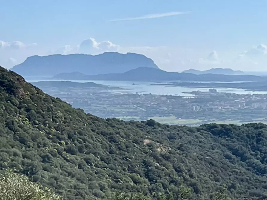 Immagine 12 di Terreno in vendita  in via stazzo caddaghiu a Olbia