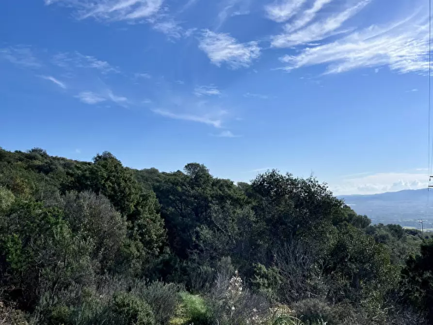 Immagine 13 di Terreno in vendita  in via stazzo caddaghiu a Olbia