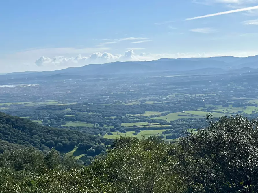 Immagine 14 di Terreno in vendita  in via stazzo caddaghiu a Olbia