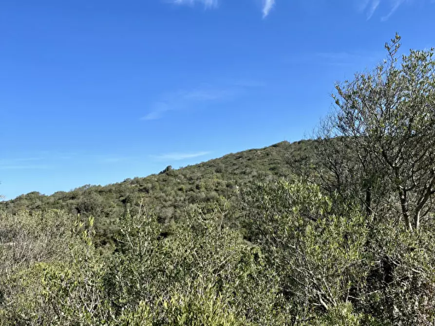 Immagine 15 di Terreno in vendita  in via stazzo caddaghiu a Olbia