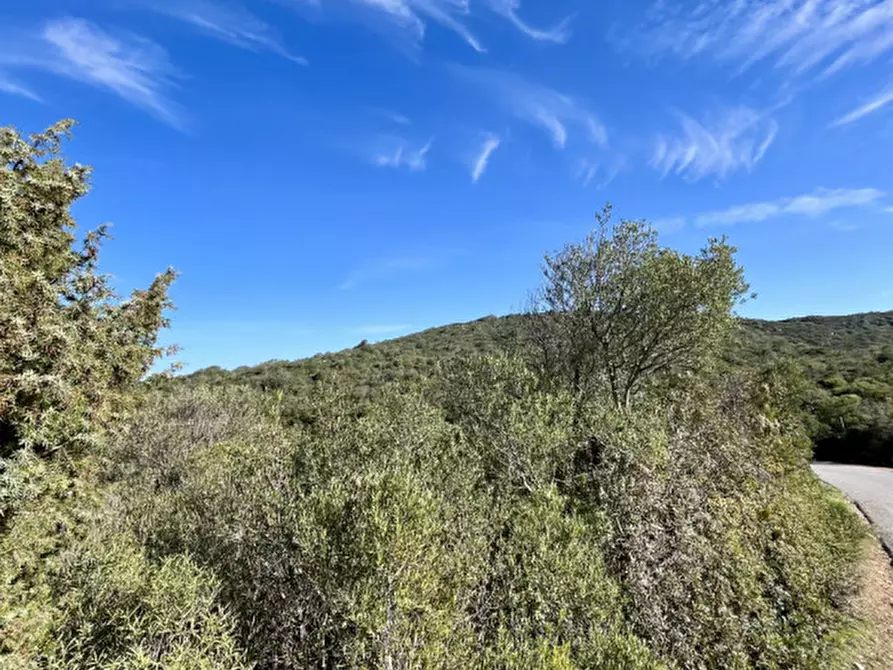 Immagine 16 di Terreno in vendita  in via stazzo caddaghiu a Olbia