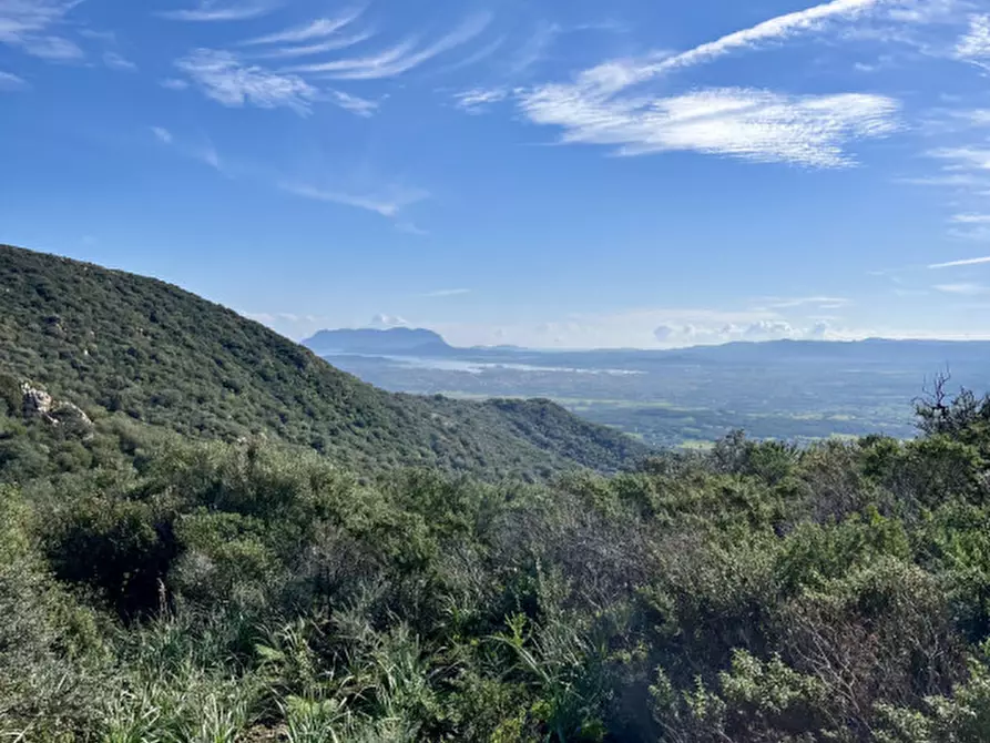 Immagine 17 di Terreno in vendita  in via stazzo caddaghiu a Olbia