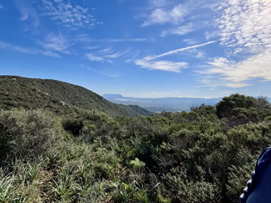 Immagine 18 di Terreno in vendita  in via stazzo caddaghiu a Olbia