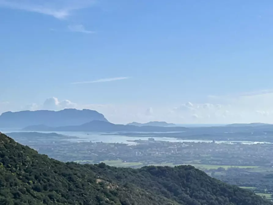 Immagine 19 di Terreno in vendita  in via stazzo caddaghiu a Olbia