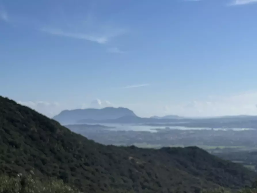 Immagine 20 di Terreno in vendita  in via stazzo caddaghiu a Olbia