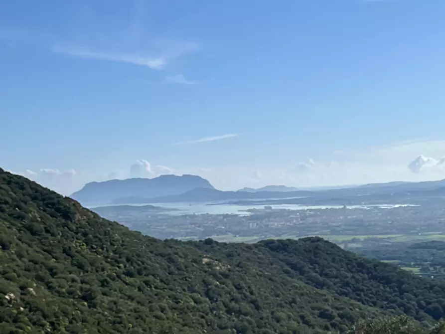 Immagine 21 di Terreno in vendita  in via stazzo caddaghiu a Olbia