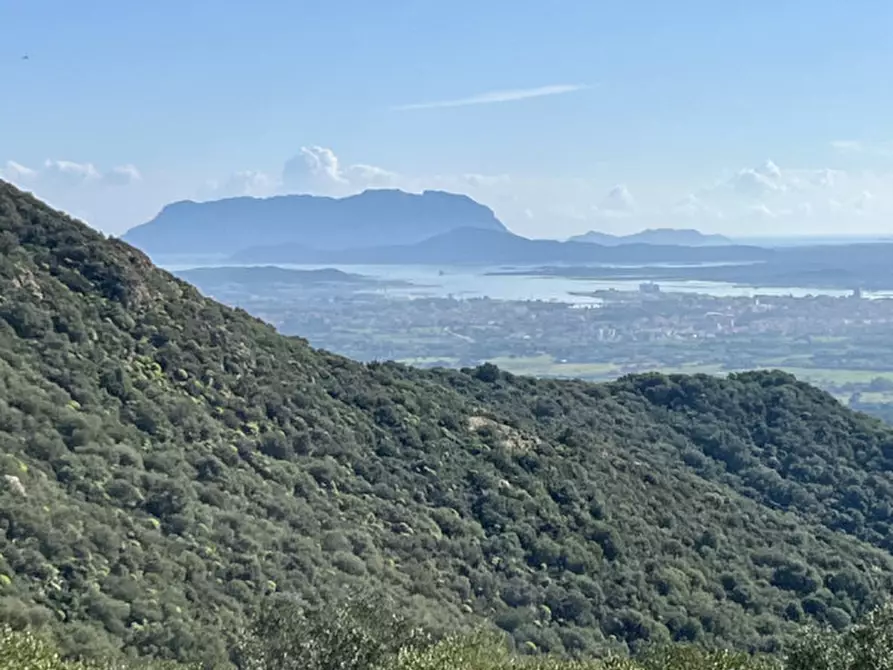 Immagine 22 di Terreno in vendita  in via stazzo caddaghiu a Olbia