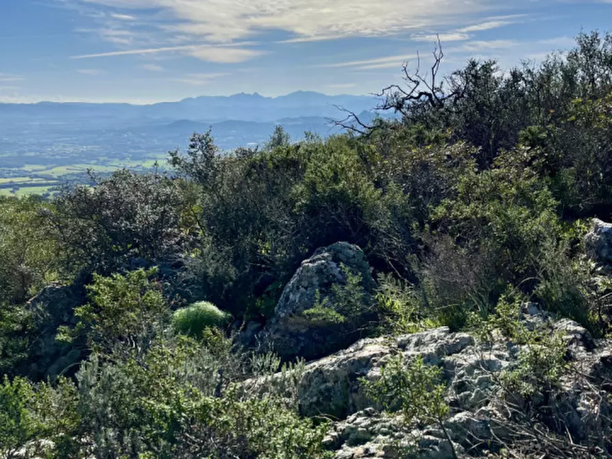 Immagine 23 di Terreno in vendita  in via stazzo caddaghiu a Olbia