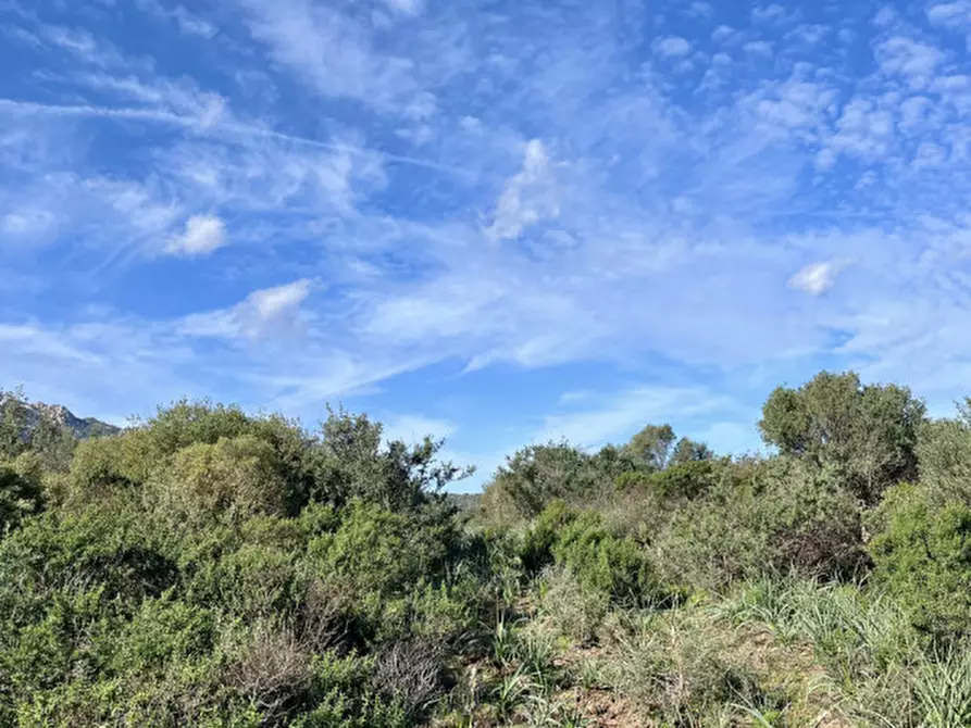 Immagine 24 di Terreno in vendita  in via stazzo caddaghiu a Olbia
