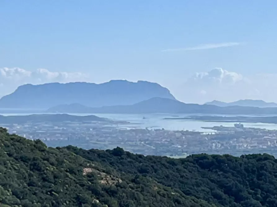 Immagine 25 di Terreno in vendita  in via stazzo caddaghiu a Olbia