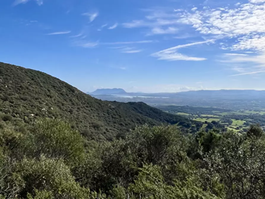 Immagine 26 di Terreno in vendita  in via stazzo caddaghiu a Olbia