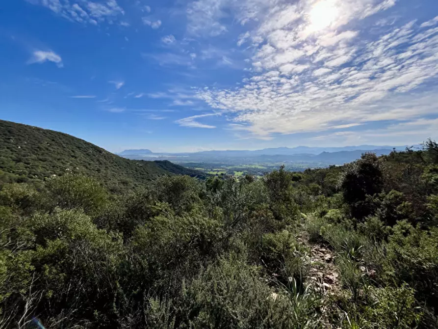 Immagine 27 di Terreno in vendita  in via stazzo caddaghiu a Olbia