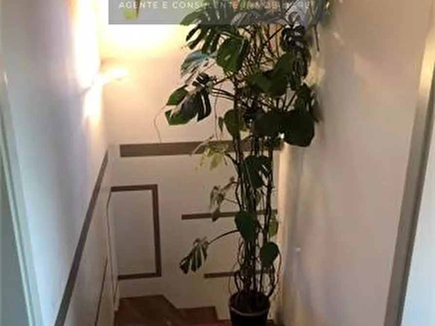 Immagine 17 di Villa in vendita  a Conegliano