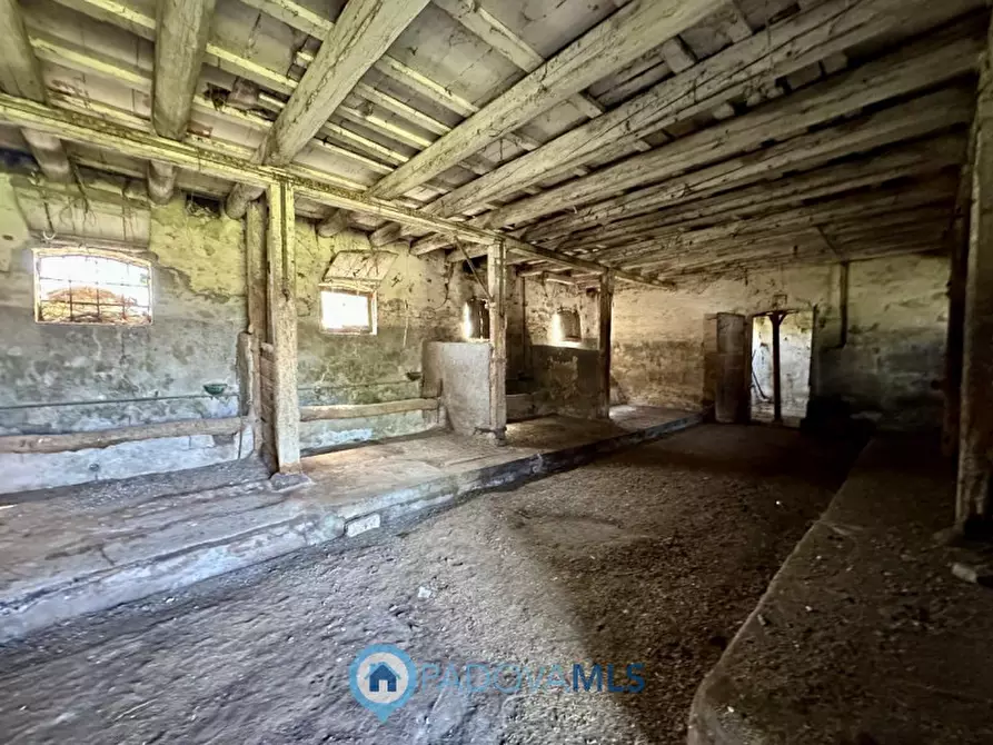 Immagine 16 di Rustico / casale in vendita  in Via Gruato a Casalserugo