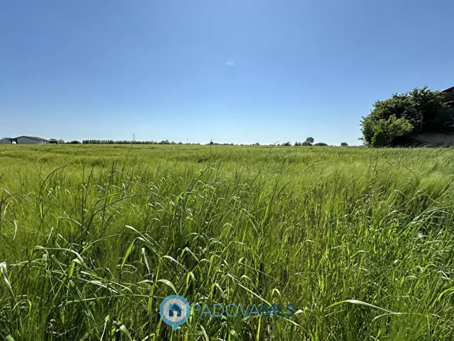 Immagine 27 di Rustico / casale in vendita  in Via Gruato a Casalserugo