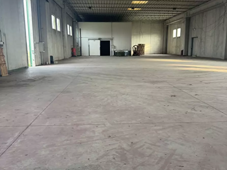 Immagine 1 di Capannone industriale in vendita  in Via Roma a Massanzago
