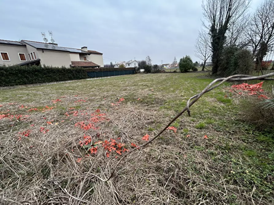 Immagine 10 di Terreno in vendita  in VIA VECCHIA a Campodoro