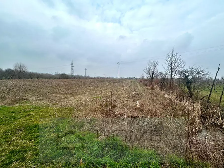 Immagine 2 di Terreno in vendita  in Via Lovolo a Rovolon