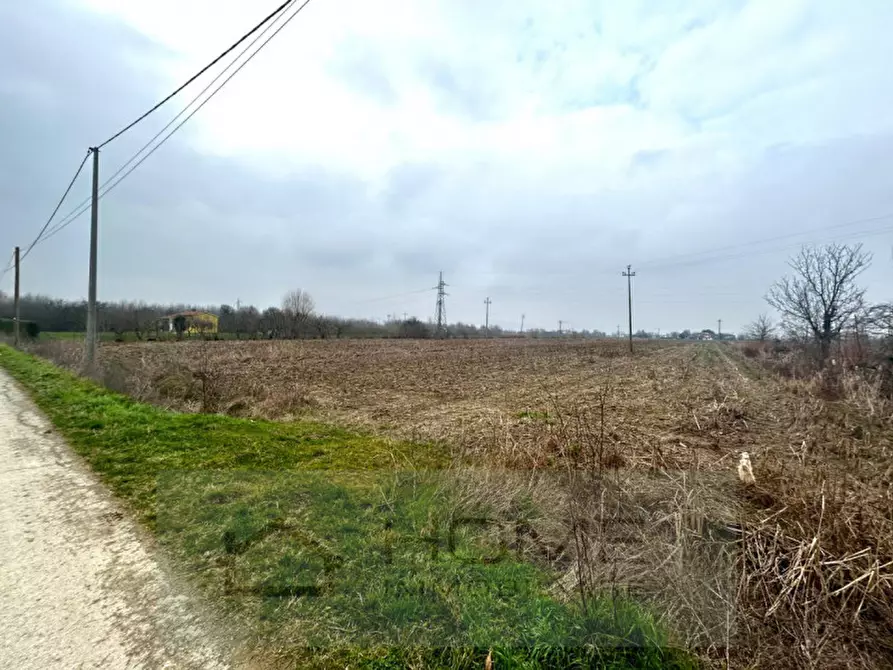 Immagine 3 di Terreno in vendita  in Via Lovolo a Rovolon